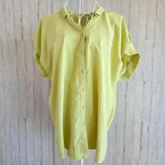 Item thumbnail for item 3b8f0453-344c-4ff7-bc2f-9cb2799340ff