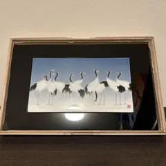 Item thumbnail for item dc9cf234-3a1d-4d07-8e93-7f3b7a792009