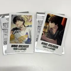 ウィンブレ ウィンヒロ コミケ カード 十亀条 2点セット