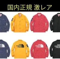 【希少!】シュプリーム ノースフェイス Mサイズ