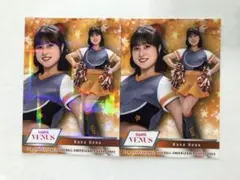 【上野華菜】BBM 2024 チア 巨人 パラレル版 2枚セット
