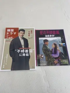愛の不時着公式ガイド&韓国ドラマFanヒョンビン特集　セット