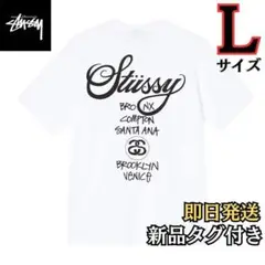 ⭐️【STUSSY World Tour Tee 】Lサイズ⭐️
