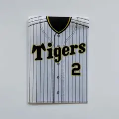 阪神タイガース 梅野隆太郎 ローソン くじ wポケットクリアファイル