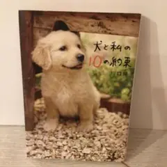 犬と私の10の約束