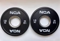 NGA ブラックチェンジプレート 1.0kg 2枚セット
