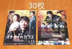 イチケイのカラス フライヤー 30枚