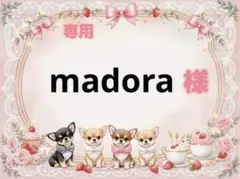 専用