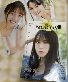 （美品）Ani=PASS Plus #01