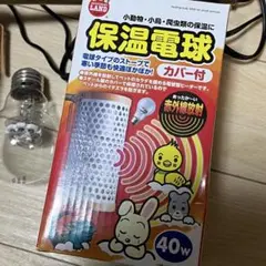 Item thumbnail for item f014dbd8-0164-43e5-a0ea-5f802fa1f64f