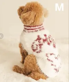 Item thumbnail for item 045f33ee-ba5b-47a6-9ae6-7d4987833b4a