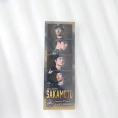 阪神タイガース 坂本誠志郎 フォトグレイ