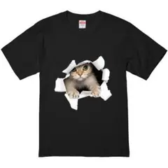 Tシャツ かわいいねこ　シュール おもしろ　　新品