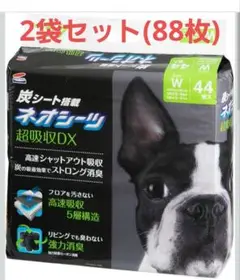 Item thumbnail for item 05f225b5-1fa1-4d74-9ee6-d32e93f7a5f1