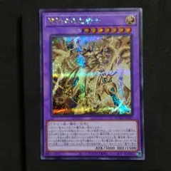 遊戯王 聖秘なる竜騎士 シークレットレア