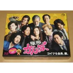 極悪がんぼ DVD 全6巻 全巻セット　邦画　ドラマ　まとめ売り ドラマ 極悪がんぼ 全6巻 DVD レンタル落ち / 尾野真千子 椎名