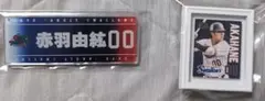 ヤクルトスワローズ　赤羽由紘　スワポン　セット