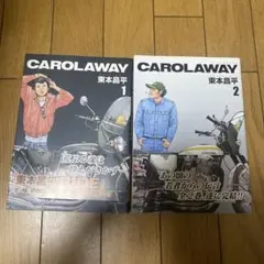 2025年最新】CAROLAWAYの人気アイテム - メルカリ