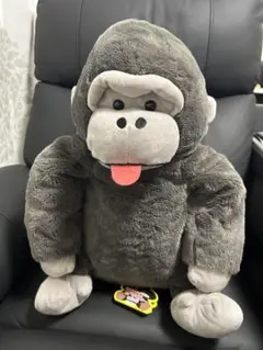 Item thumbnail for item 87a1a4a5-7e80-4f63-b298-37e1ddb754b8