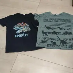 恐竜デザイン Tシャツ 110cm　2枚セット