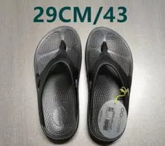 Item thumbnail for item a0a1128b-3f69-49ac-8170-2d89d819c54e