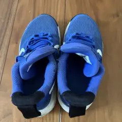 Nike ブルー スニーカー　17㌢