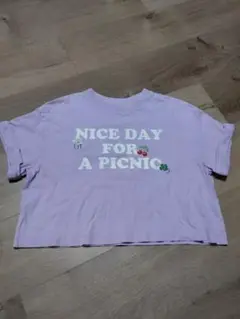 GU　クロップド Tシャツ 　ラベンダー　紫　ピンク140