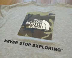 THE NORTH FACE グレー Tシャツ Mens Ｌ