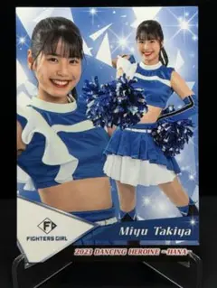 Item thumbnail for item ab2bafa6-5775-4a2f-b030-4f076f10ebec