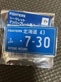 水野達稀　ナンバープレート風バッジ
