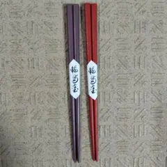 Item thumbnail for item a42c2fc6-811a-4044-8a61-fe7b326631f1