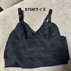 Item thumbnail for item f5782b12-a731-49a4-ab33-e97bd43323ef