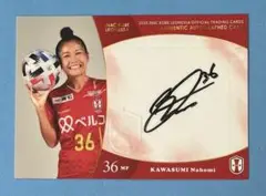 なでしこジャパン　日本代表女子サッカー　川澄　奈穂美 直筆サイン入りフォト 61Uus0H3VQL._UF350,350_QL80_.jpg