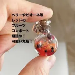 ミニチュア　フルーツコンポート瓶詰め　平丸瓶　レッド