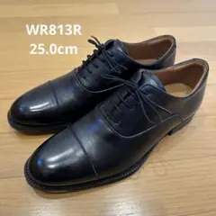 ランウォーク　WR813R 25.0cm