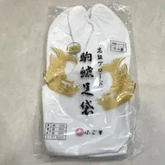 Item thumbnail for item d582b46c-ec5c-40c9-8a31-18decfdad0c9