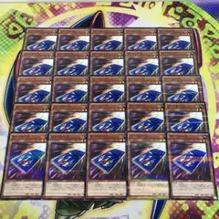 16864 カードカーD 25枚 ノーパラ 20AP-JP089