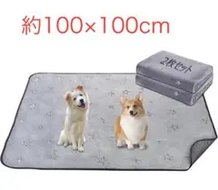 Item thumbnail for item e700d375-3580-4520-908b-25b08fdb538b