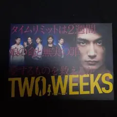 【新品同様レベル】TWO WEEKS DVDBOX(６枚組)
