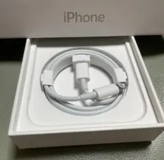 iPhone 充電器 純正 タイプCライトニングケーブル Apple正規品