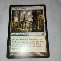 未使用保管品　mtg 初版　寺院の庭　英語1枚