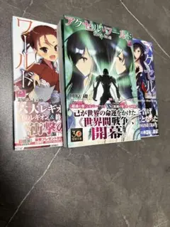 アクセルワールド 25〜27巻