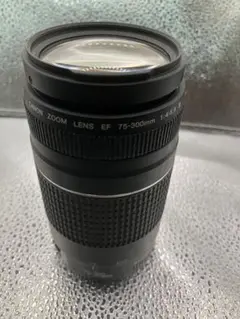 Item thumbnail for item c117f8ea-c4b5-41bf-8332-e4ade377e435