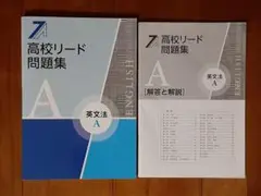 答えの書込み無し◇高校リード問題集 英文法A◇英語 ワーク ドリル◇参考書