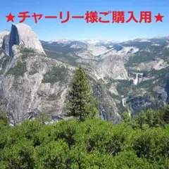 769【チャーリー様】【ワケあり特価!】天と地と ダッフィー Sサイズ用衣装
