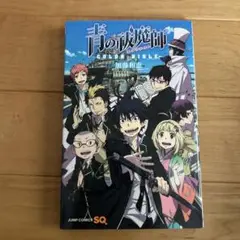 全巻初版帯付き 青の祓魔師 1～31巻 小説5冊 ポケット画廊 71N44TAs9iL._UF350,350_QL50_.jpg