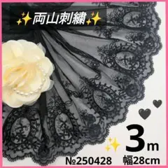 №250428　チュールレース