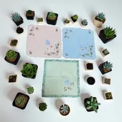 WEDGWOOD 花柄刺繍ハンカチ 3枚セット