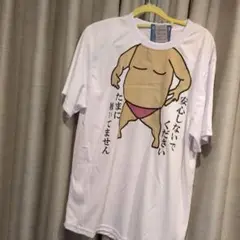 おもしろギャグTシャツ　安心しないでください たまに履いてません　Lサイズ