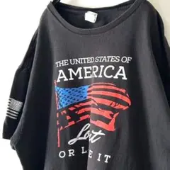 デルタ アメリカ Love it Tシャツ XL ブラック 黒 古着